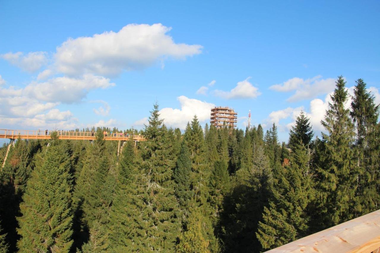 Holiday House Daniela Ждяр Экстерьер фото